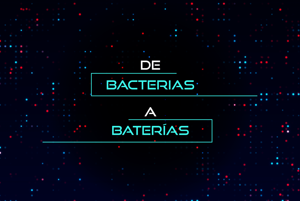 De bacterias a baterías