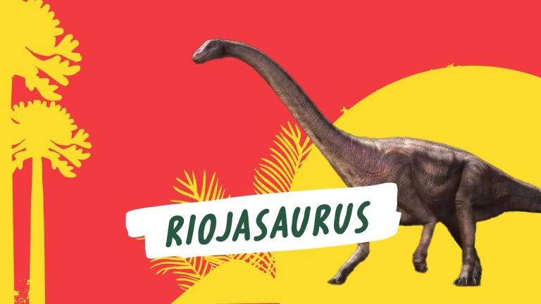 Riojasaurus incertus